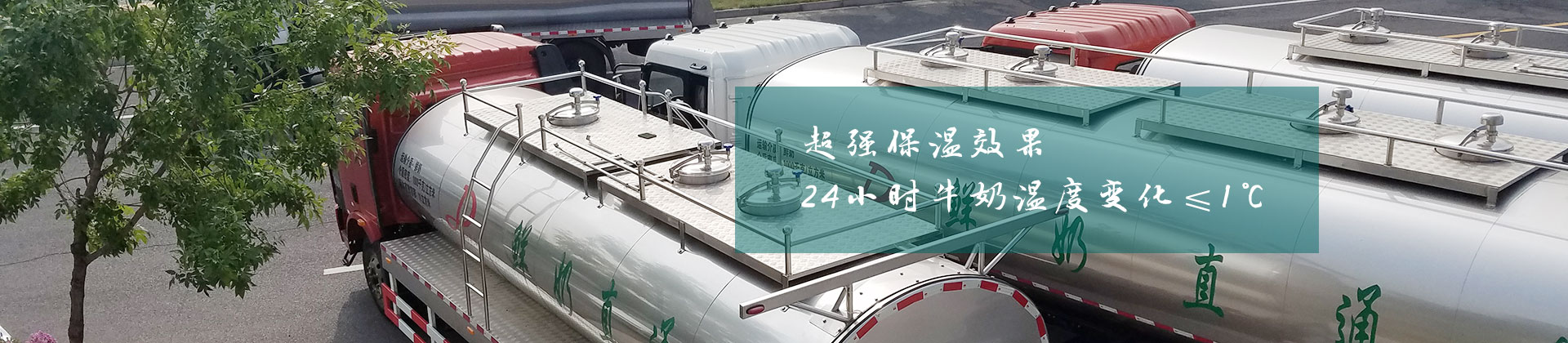 企業(yè)實力